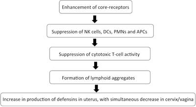 Localized and Systemic Immune Response in Human Reproductive Tract